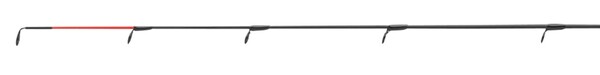 Canne Daiwa Black Widow Tele Feeder