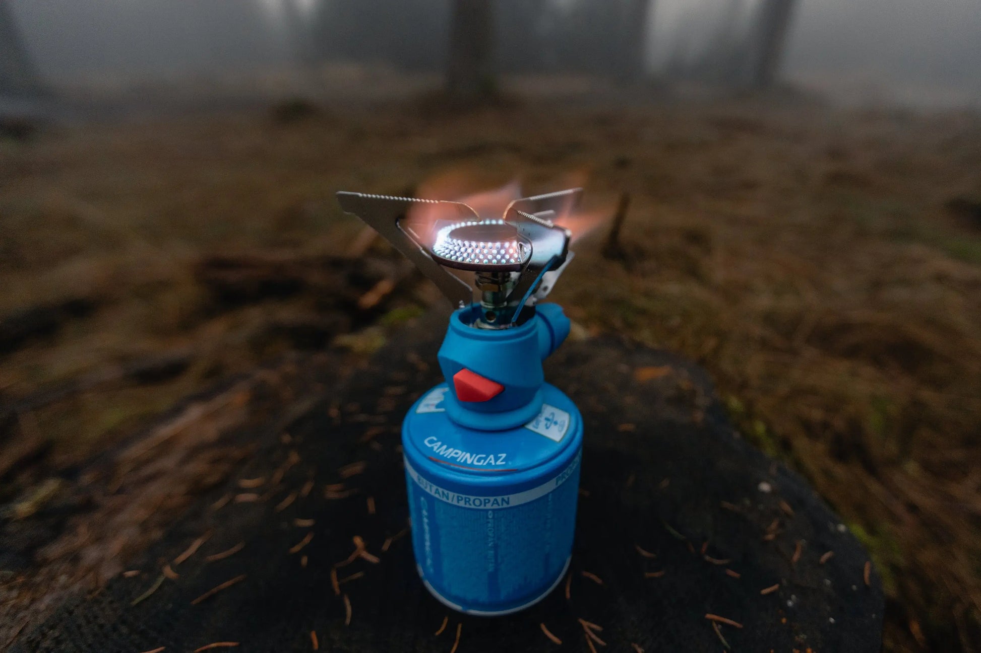 Twister Plus PZ