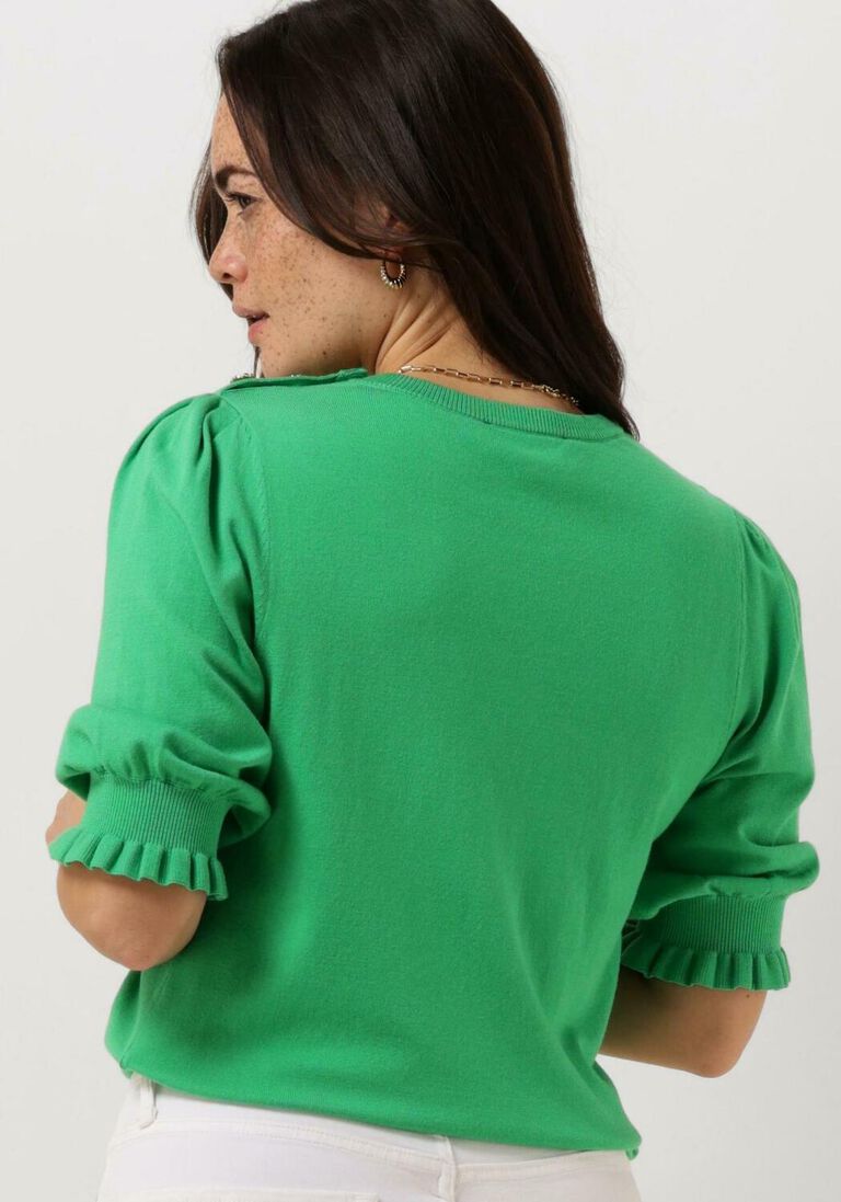 FABIENNE CHAPOT groene fabienne chapot trui jolly pullover