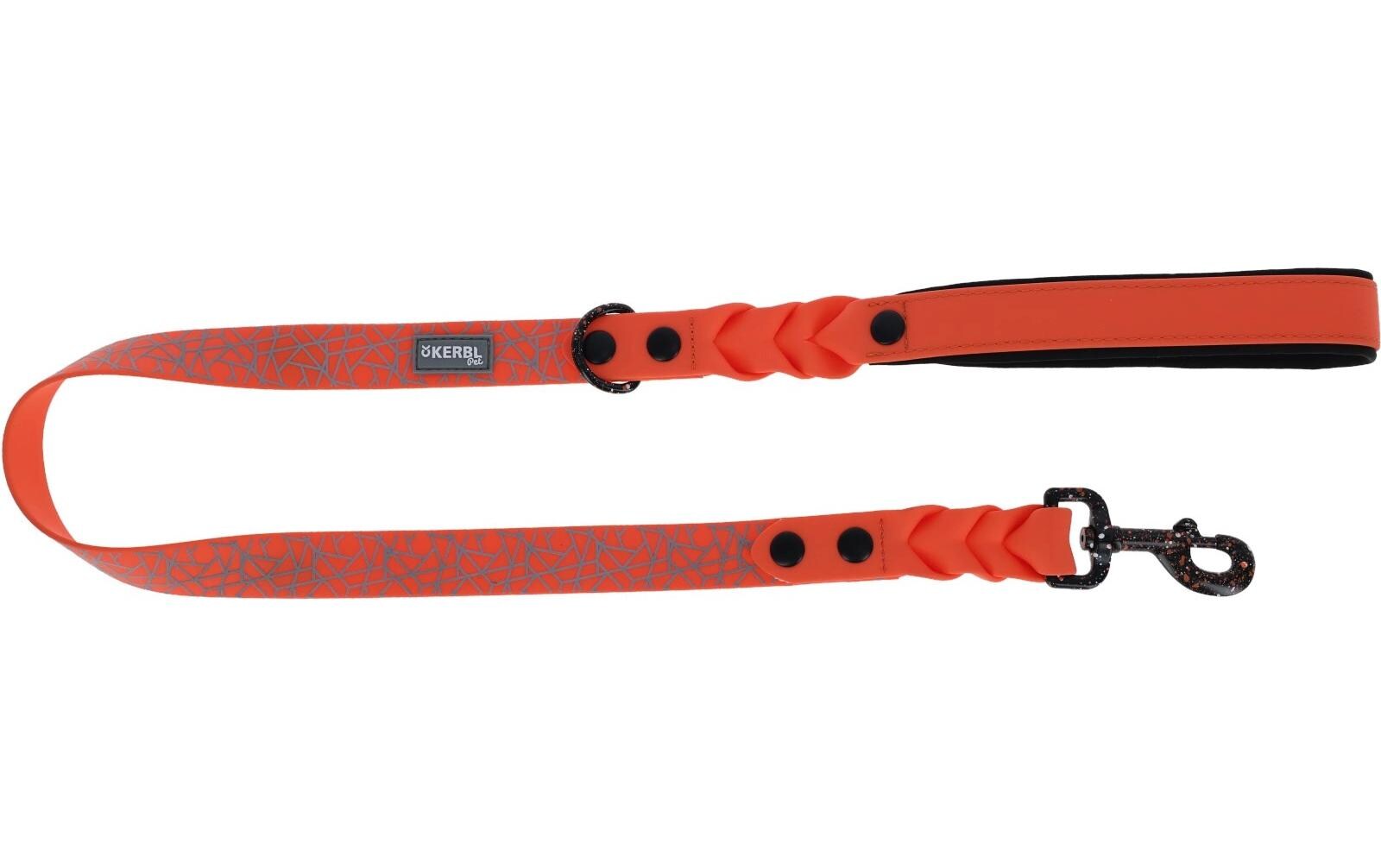 Hundeleine Puno 25 mm x 100 cmSehr robuste, reflektierende Hundeleine