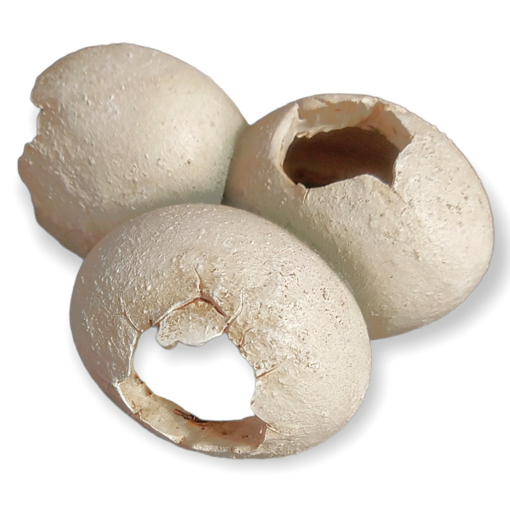 Grotte en motif coquille d'œuf 15 x 6 x 12 cm pour reptiles