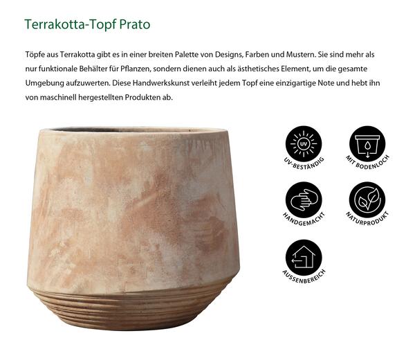 Dehner Terrakotta-Topf Prato, rund,
