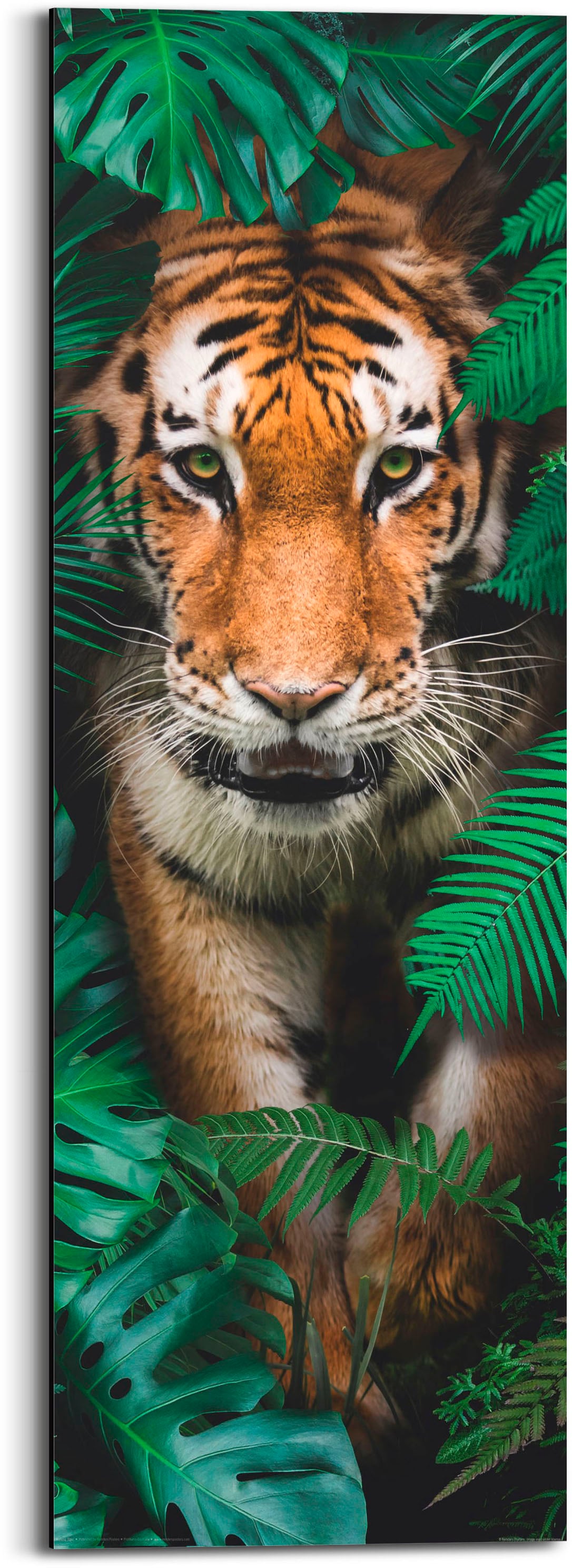 Reinders! Holzbild »Walking Tiger« 1 Stk. tlg.