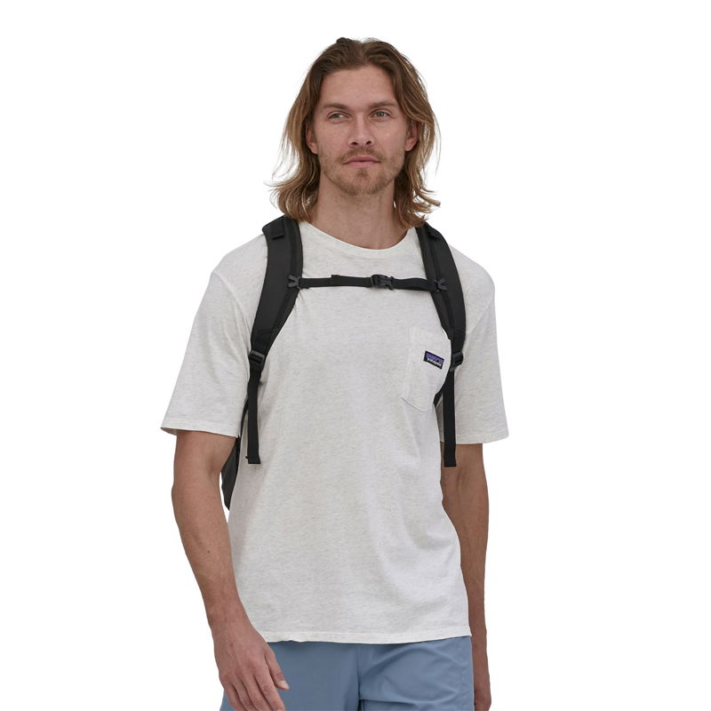 Patagonia Refugio Day Pack 30 ltr, rygsæk
