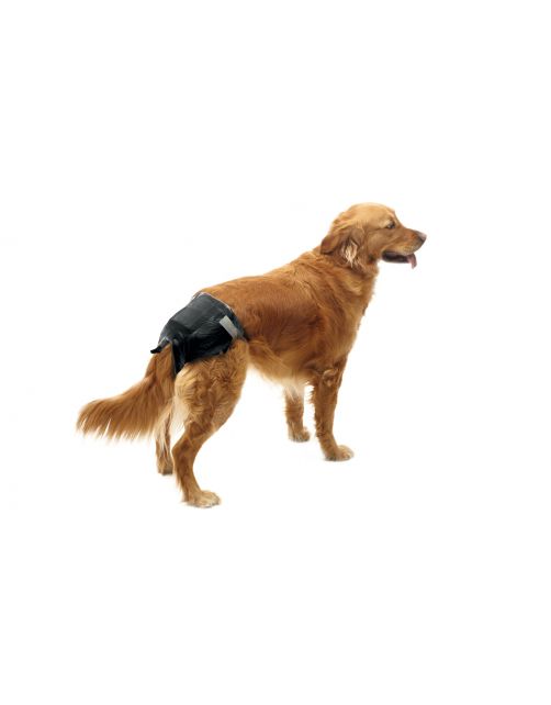Savic Comfort Nappy Hondenluier Zwart - Hondenzindelijkstraining