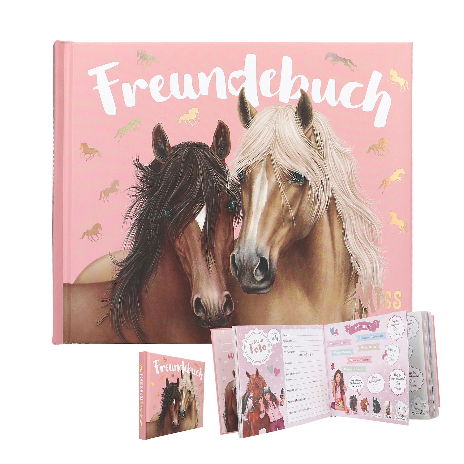 Miss Melody Freundebuch