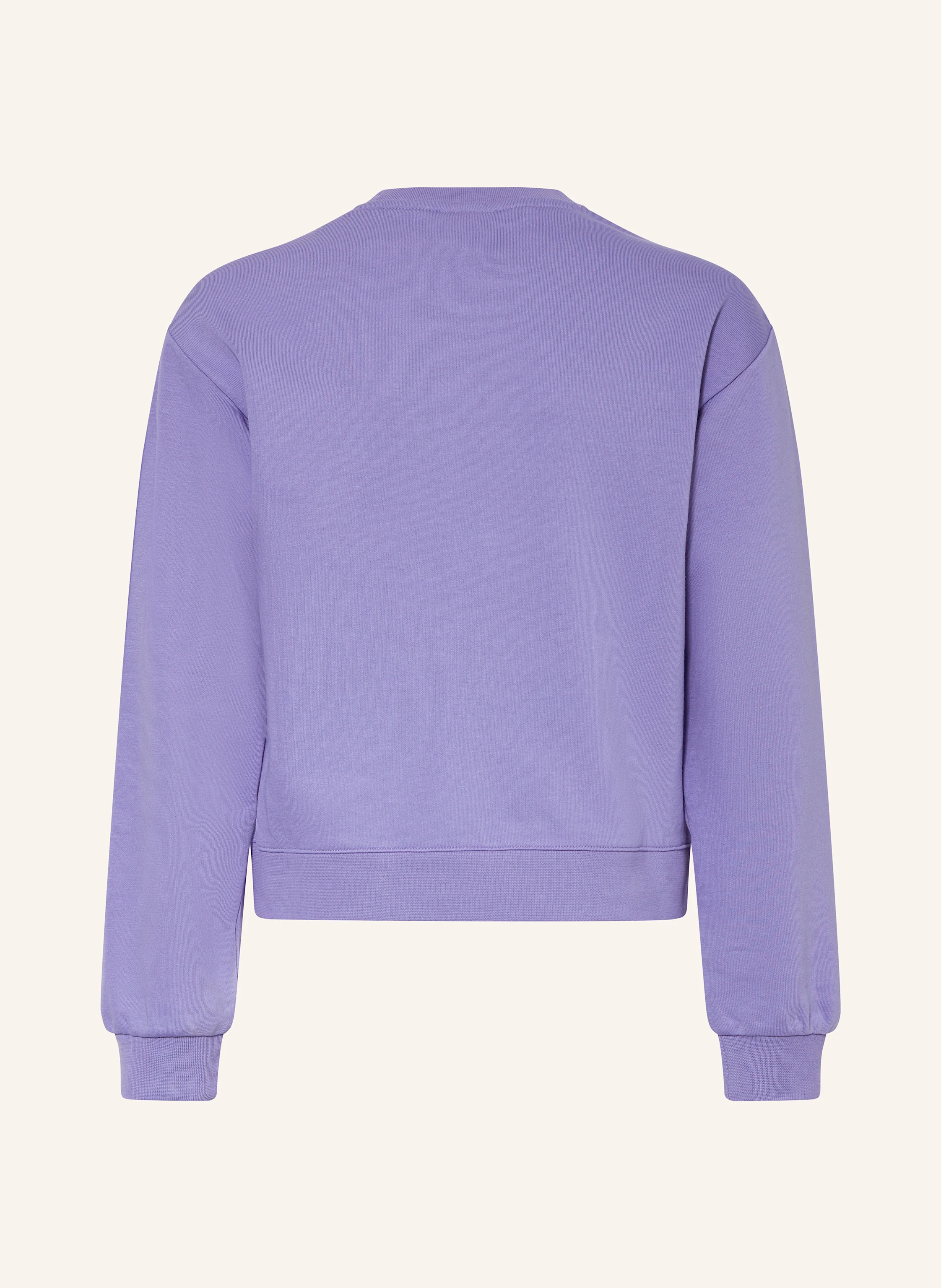 Champion Sweatshirt