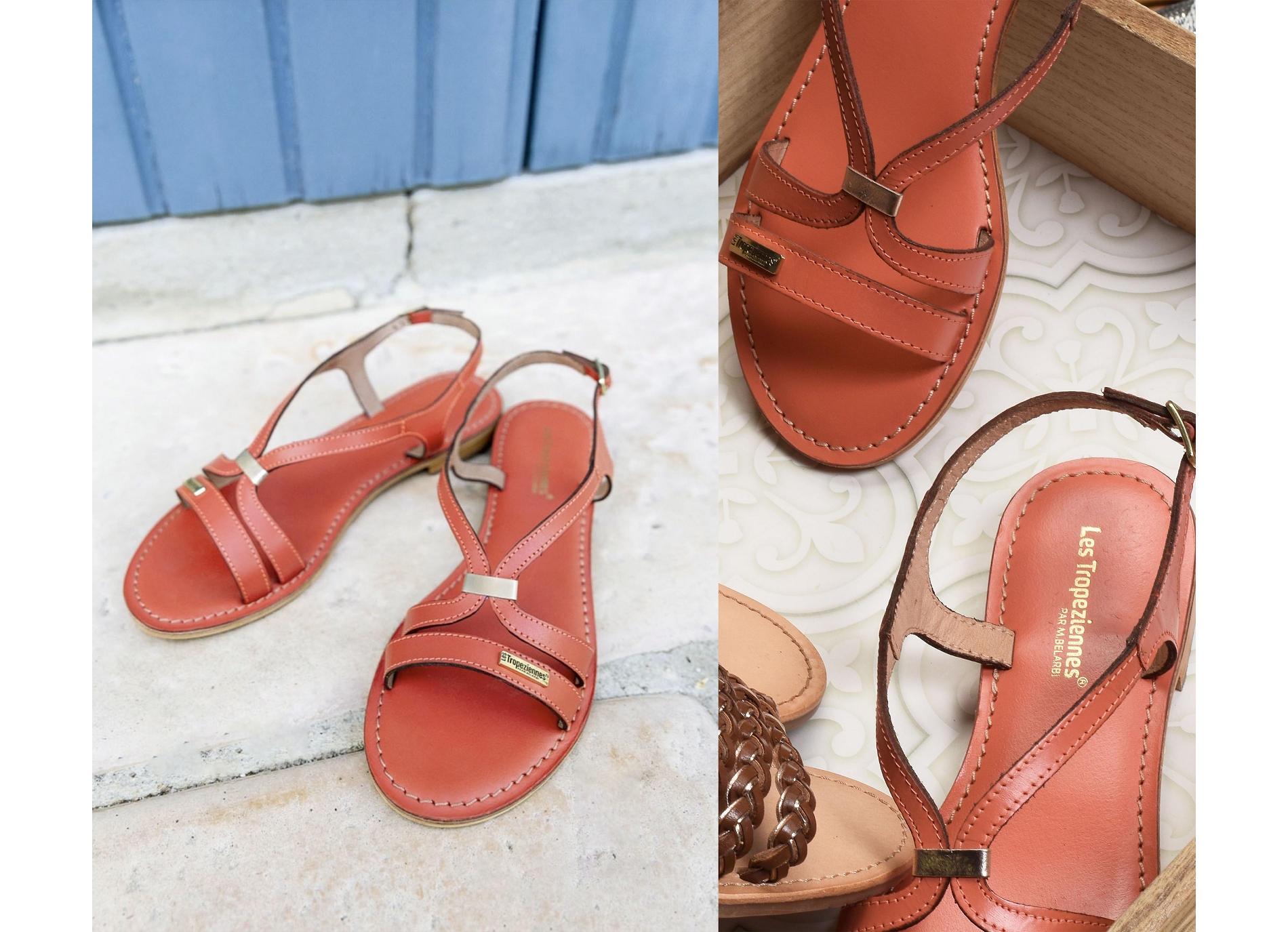 Hamoon corail