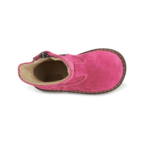 Citrouille et Compagnie - PISTY - Fuchsia