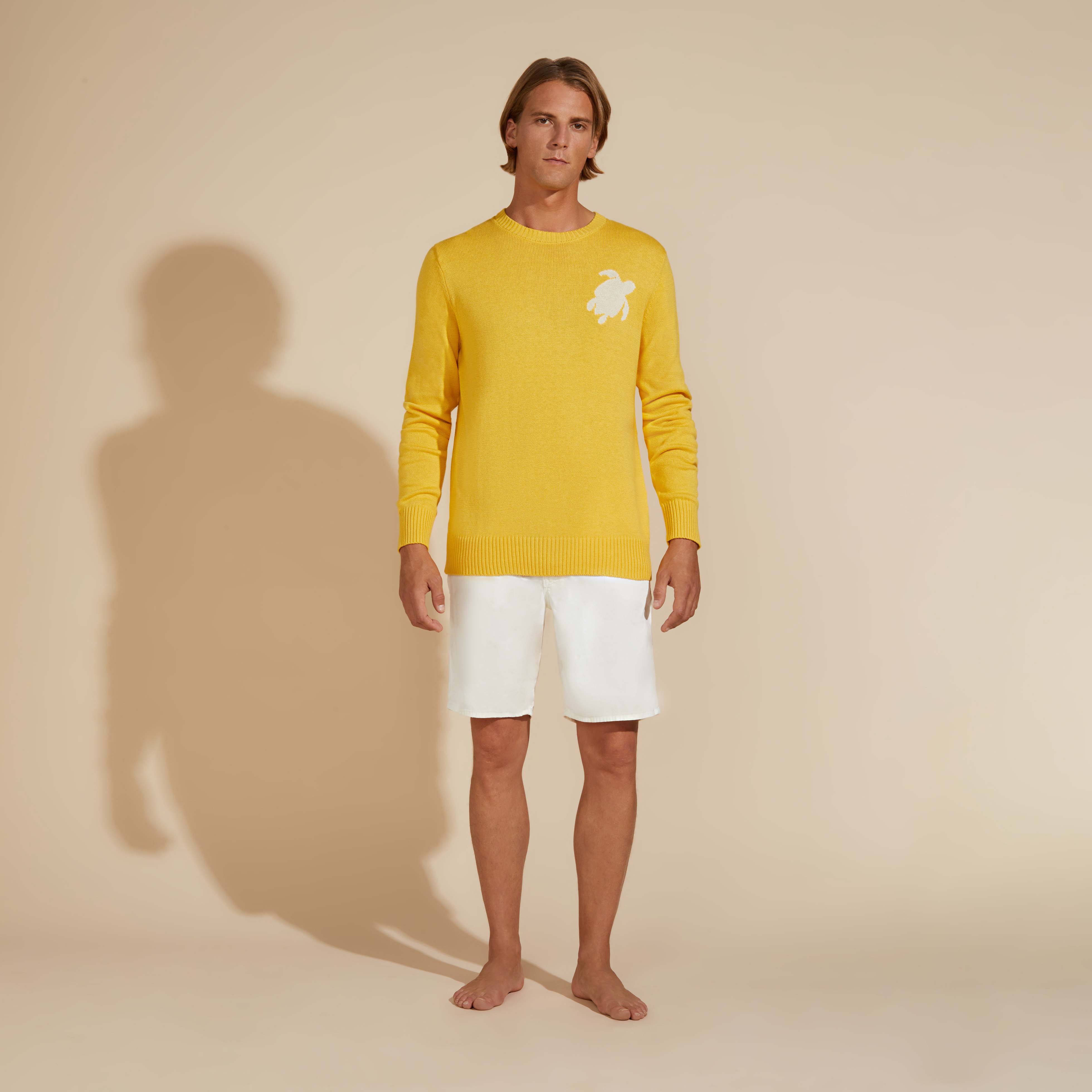 Pullover en Coton et Cachemire Ras-du-cou Homme Tortue