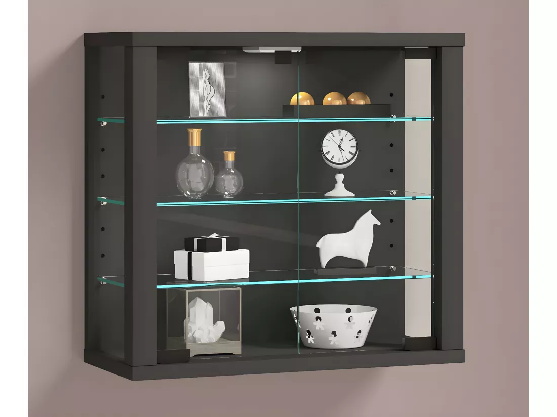 Vitrine murale Vitrosa S