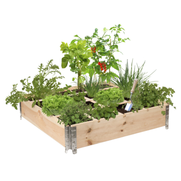 Moestuinbak 100x100x20 cm
