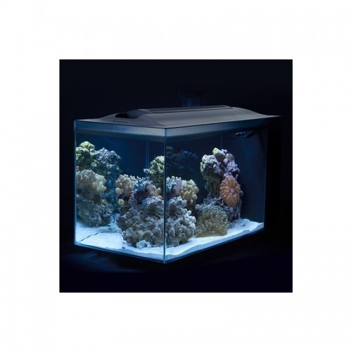 Fluval evo 52 Preto