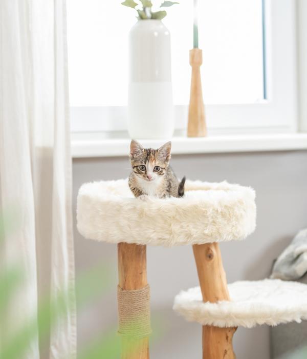 Trixie Kratzbaum Santo, creme, ca. B38/H73/T38