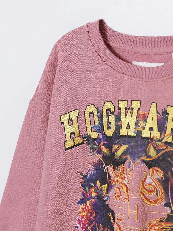 Moletom estampado H.Potter © &™ WARNER BROS - Rosa