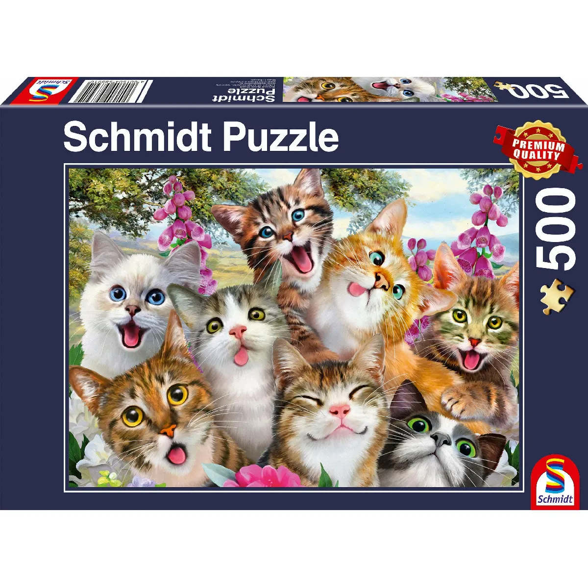 Schmidt Spiele Adulte 58391