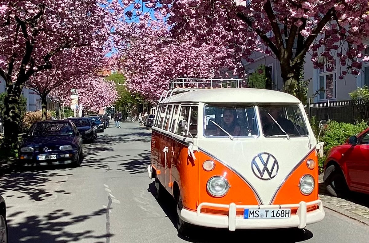 VW Bulli Stadtrundfahrt in Münster für 4