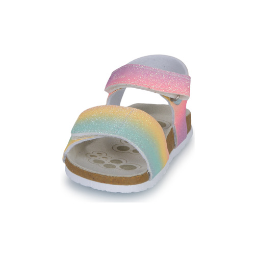 Chicco - FINDY - Multicolore