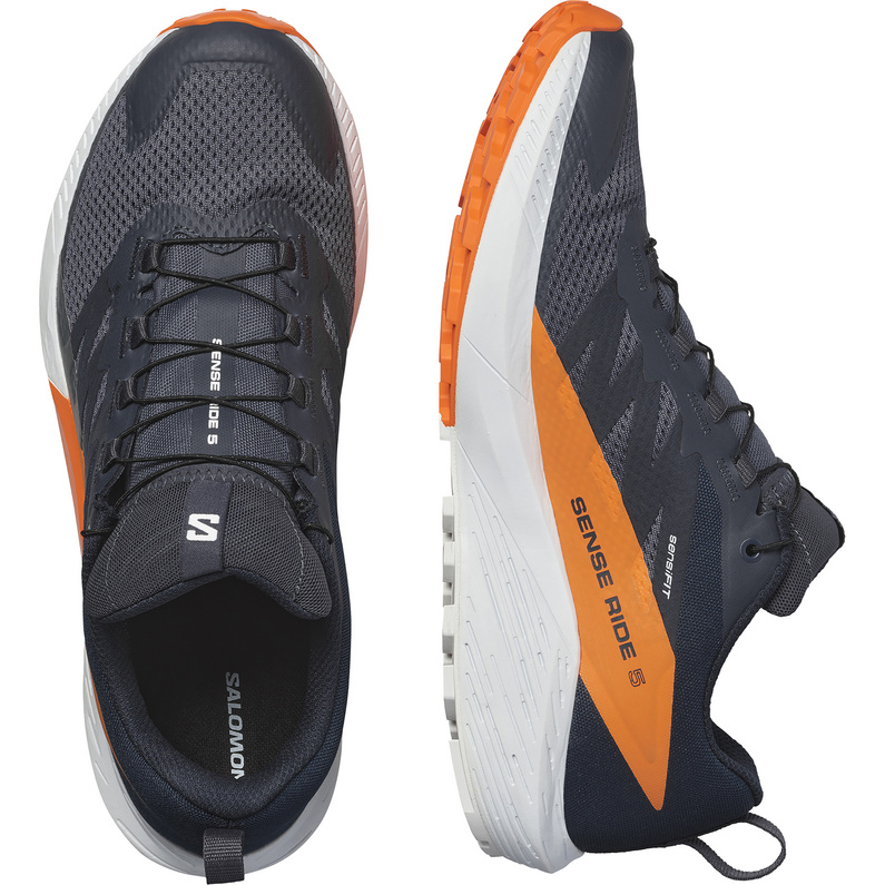 Salomon Herren Sense Ride 5 GTX Schuhe