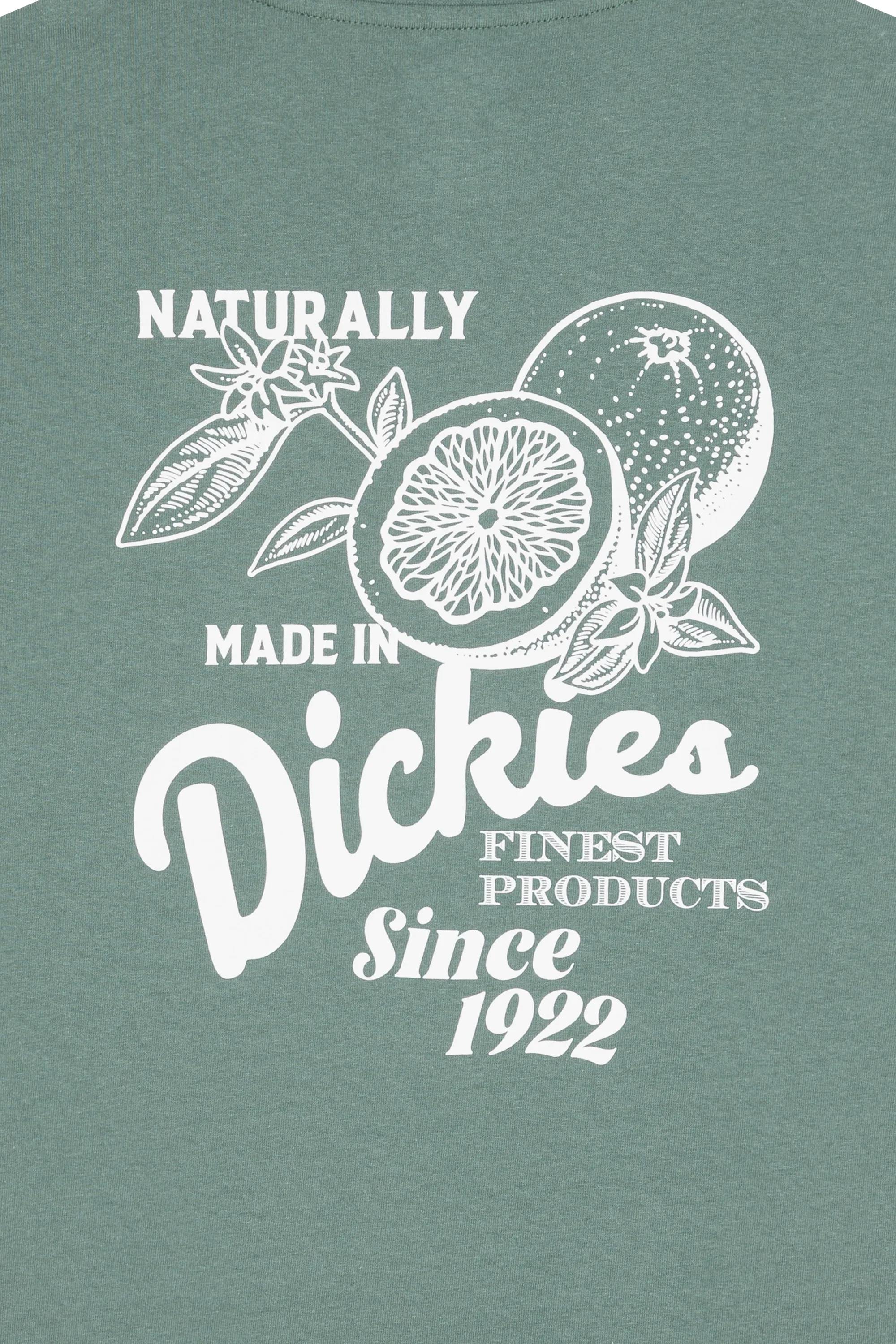 DICKIES T-shirt RAVEN TEE SS Vert