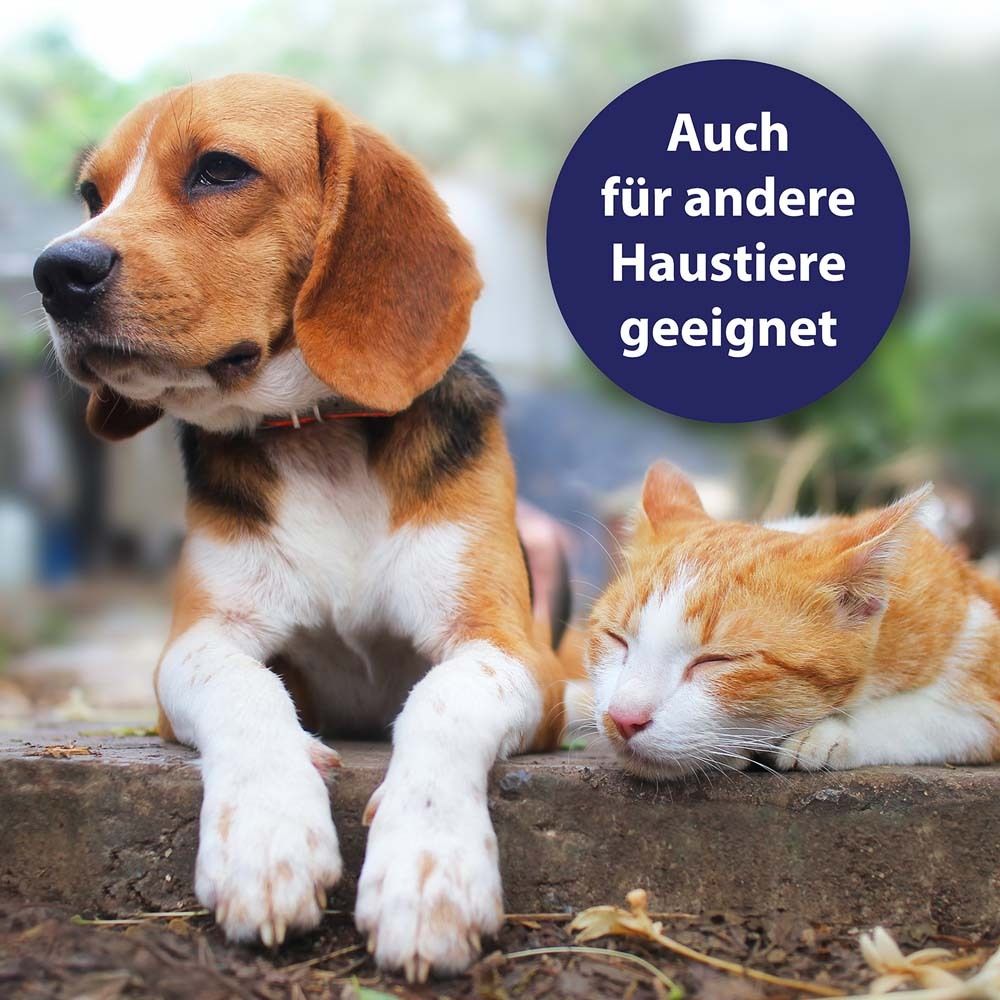 Canosept® Hautpflegespray für Hunde