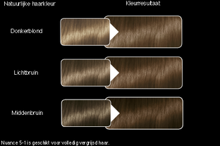 Syoss Color Salonplex 5-1 Lichtbruin 1ST