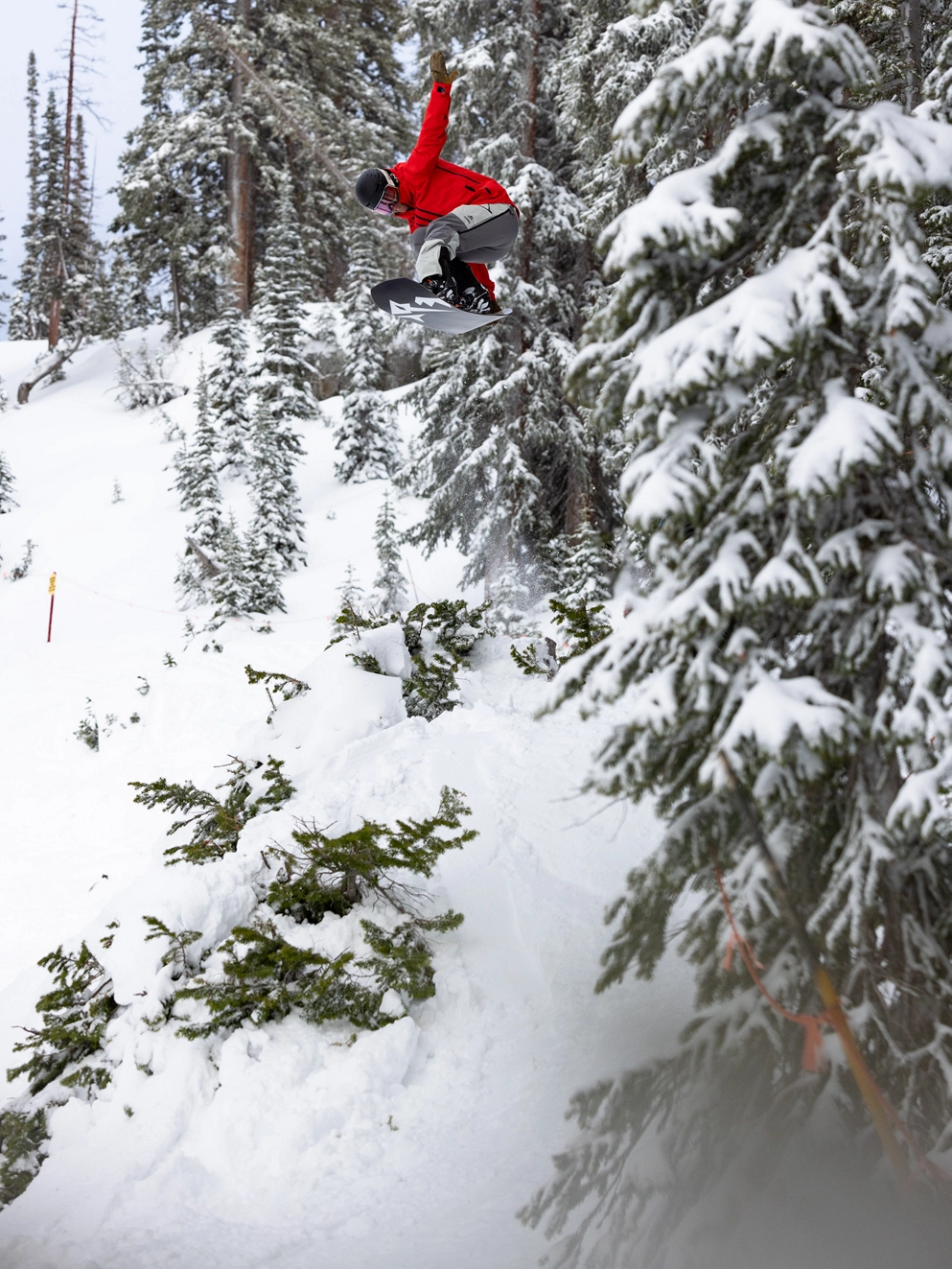 Jones Snowboards Flagship Pro 2026 Snowboard wood veneer