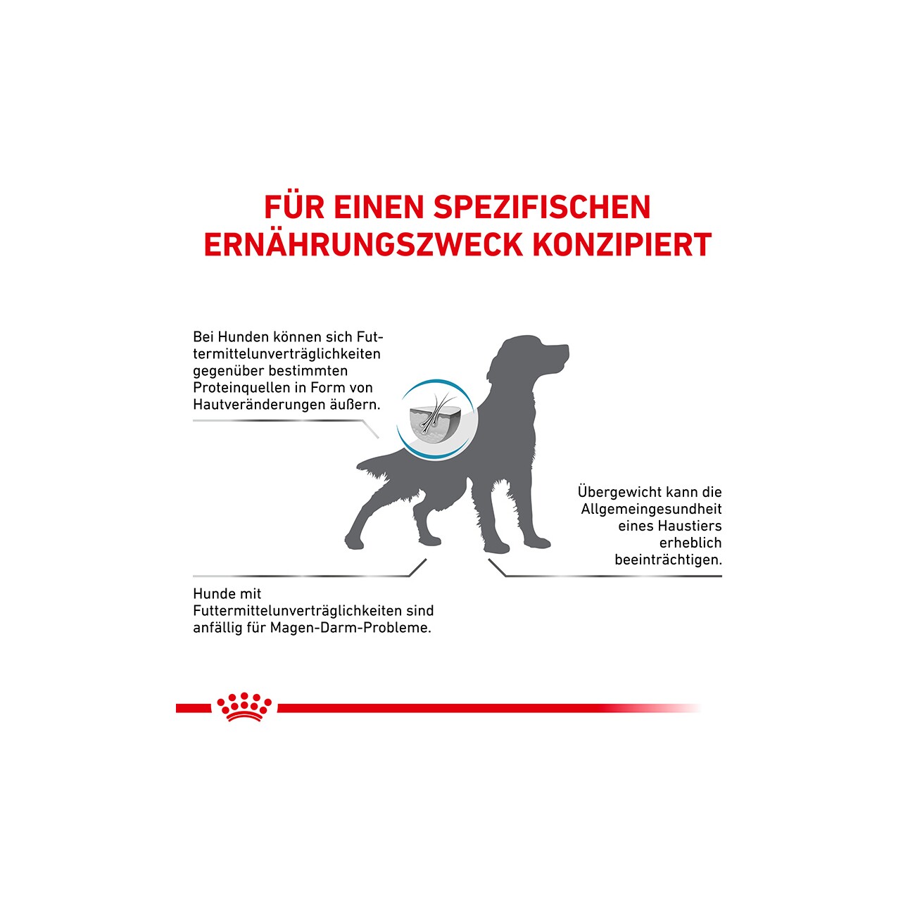 ROYAL CANIN Veterinary Hypoallergenic Moderate Calorie 1,5 kg