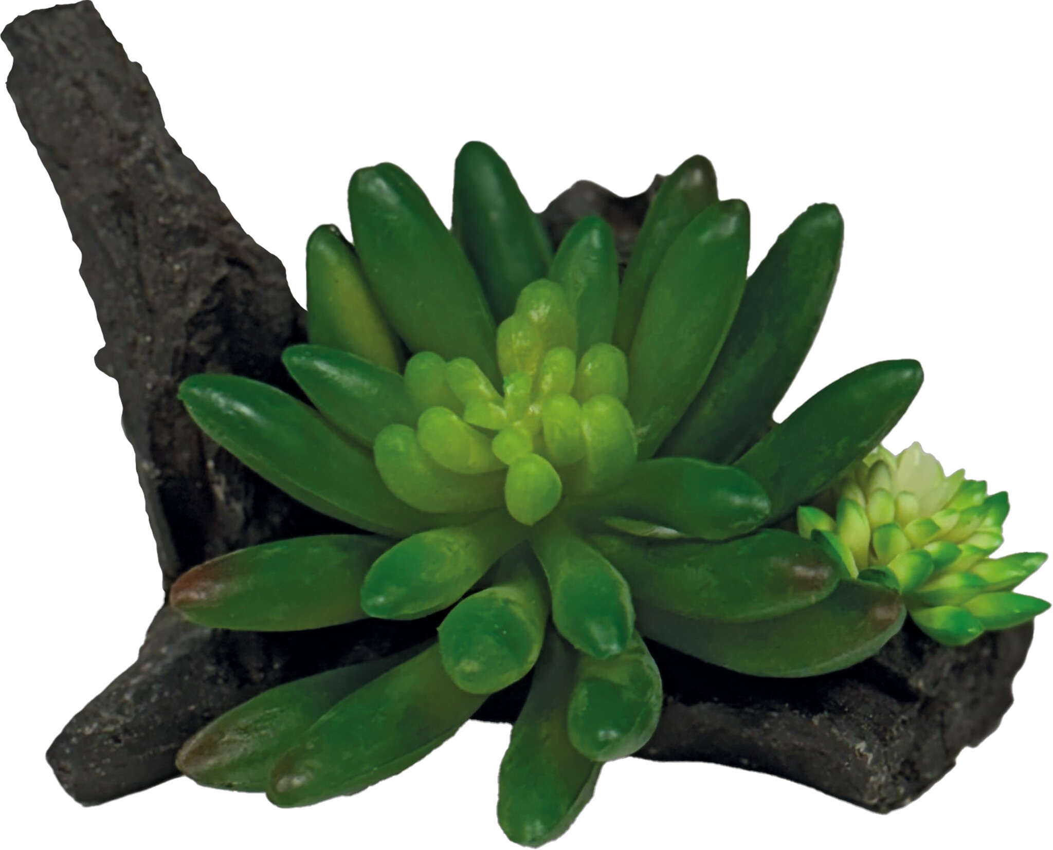 Repto Terrarium Kunstplant Succulent On Deco