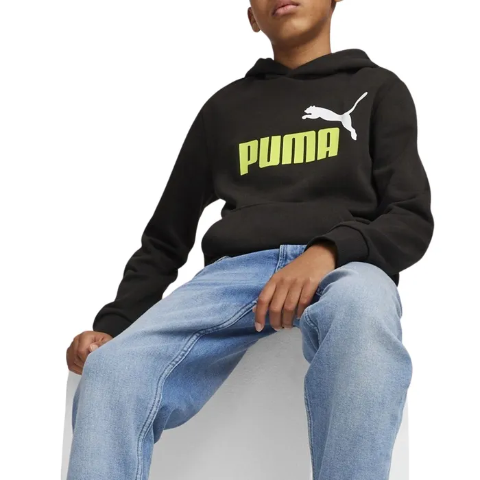 Puma Essential Hoodie Junior