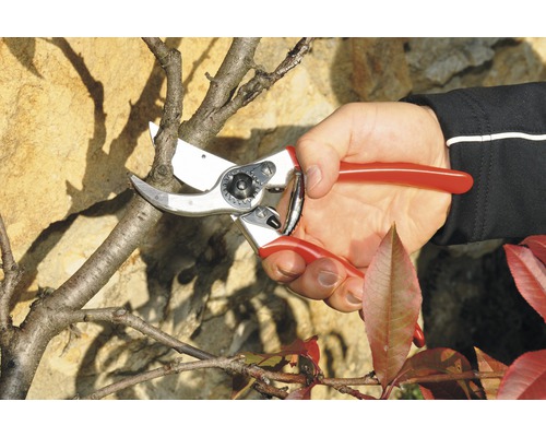 Felco 2 snoeischaar, tuinschaar