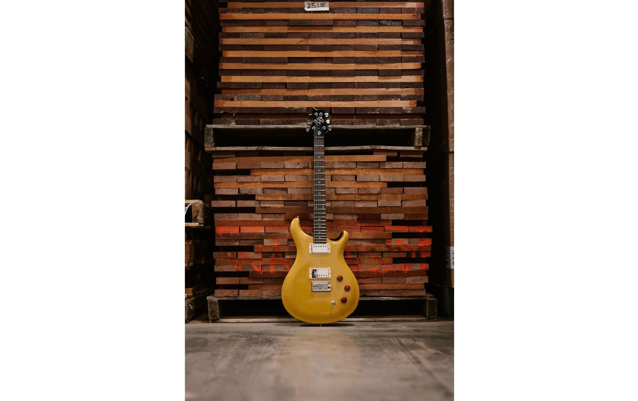 E-Gitarre SE DGT – Gold Top, Moon Inlay<br>David Grissom Signature-Modell
