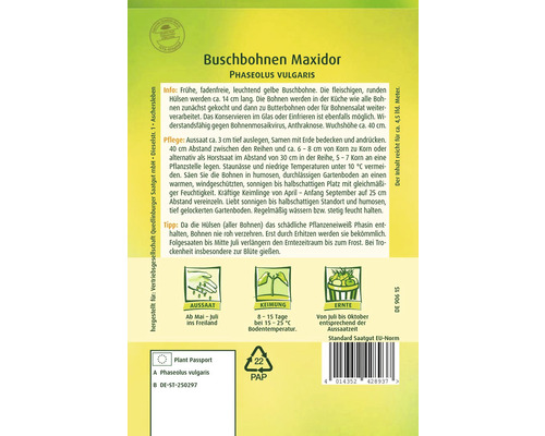 Struikbonen Maxidor Quedlinburger zaadvaste groentezaden