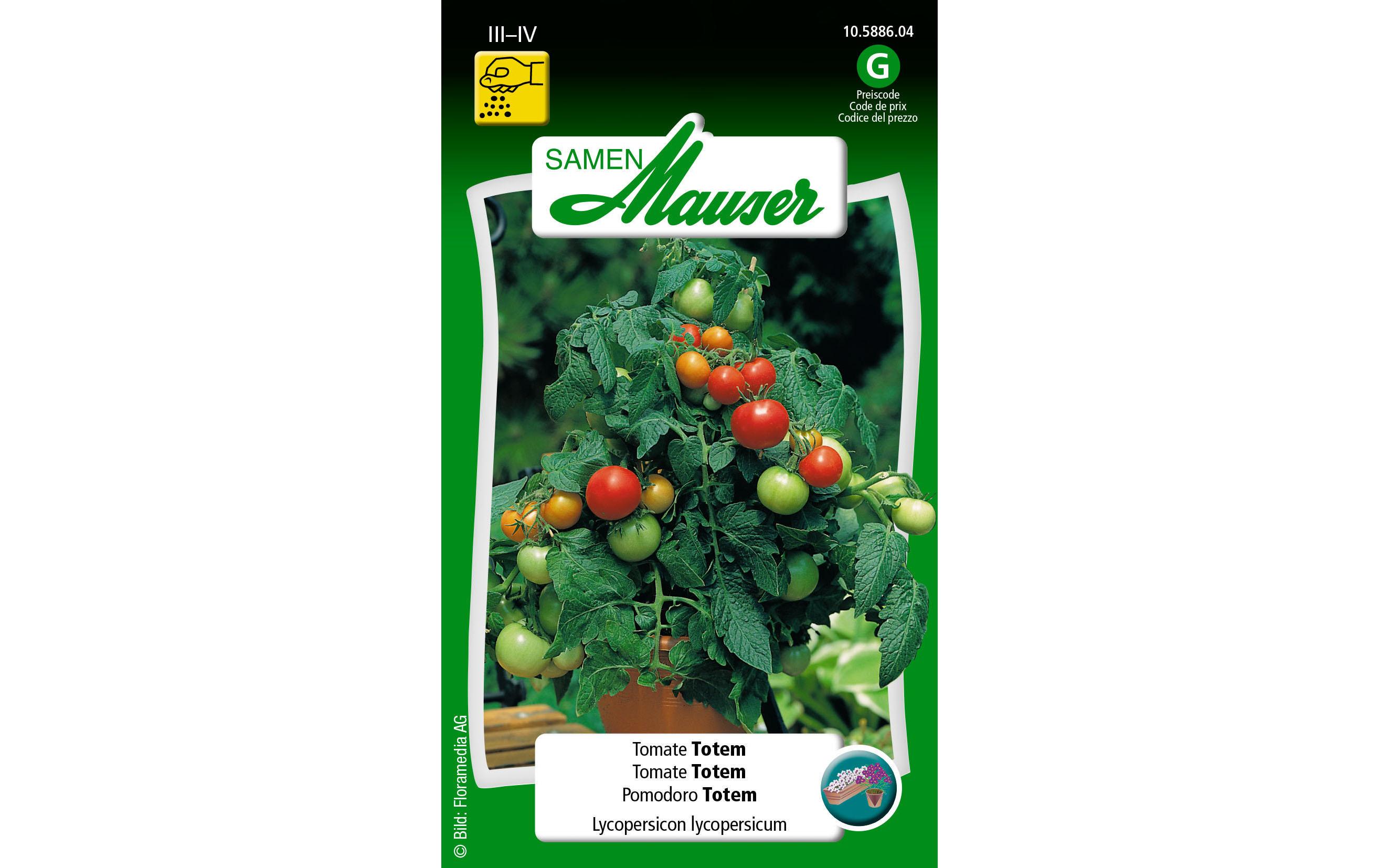 Samen Urban Gardening Tomate TotemGemüsesamen