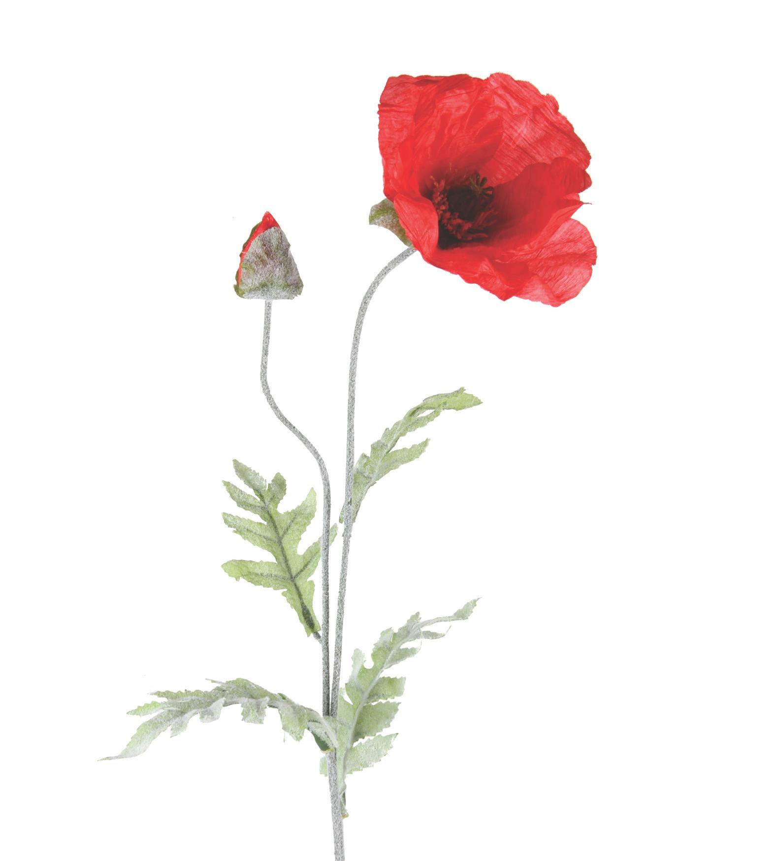 TIGE COQUELICOTS 1 FLEUR ET 1 BOUTON H.70CM ROUGE