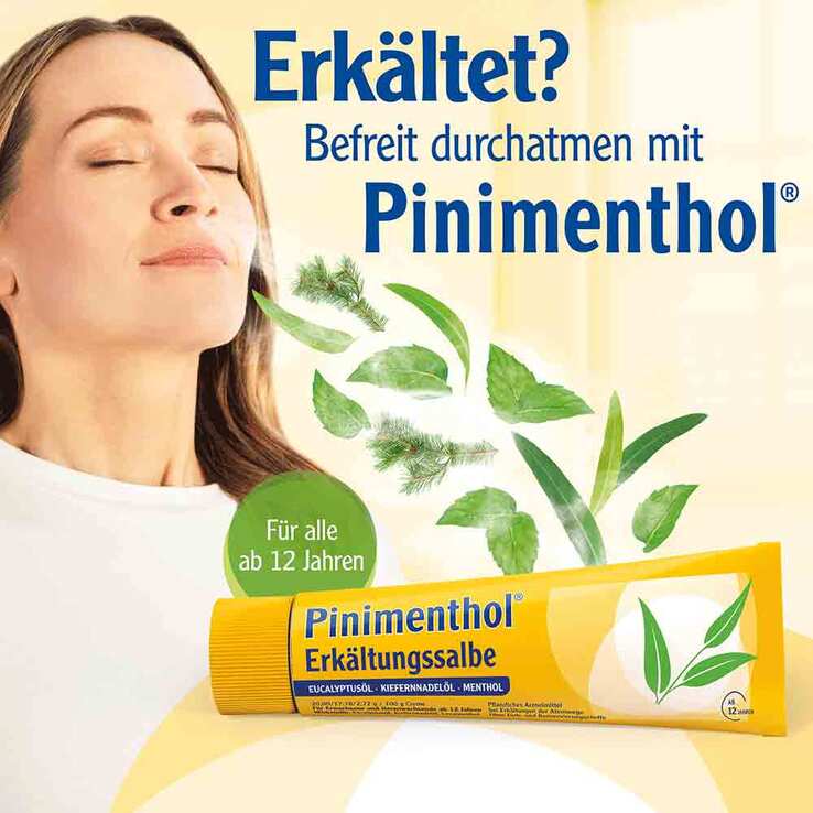 Pinimenthol® Erkältungssalbe Eucalyptusöl Kiefernnadelöl Menthol, 100 g
