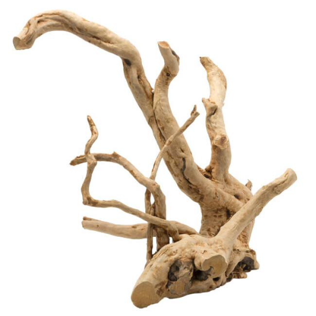 Décoration flottante Bois Driftwood poli Aqua Della