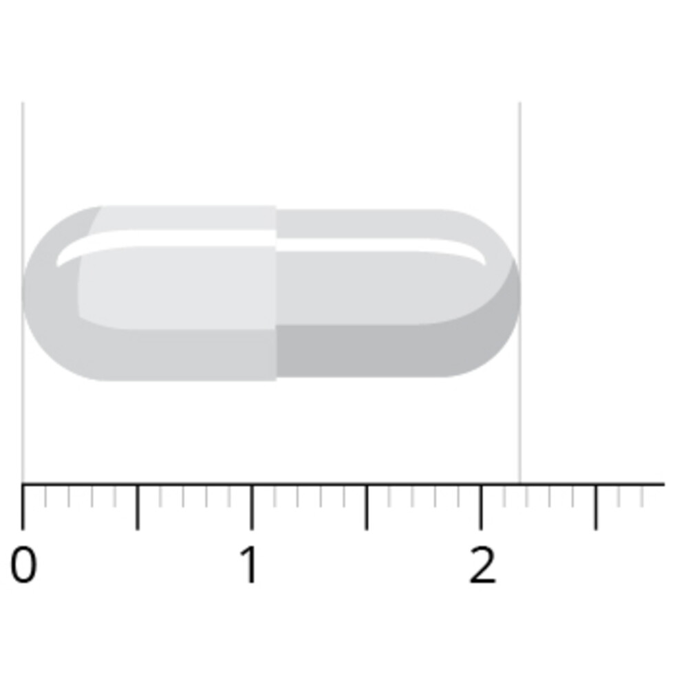 Vitals Elke Dag 60 capsules