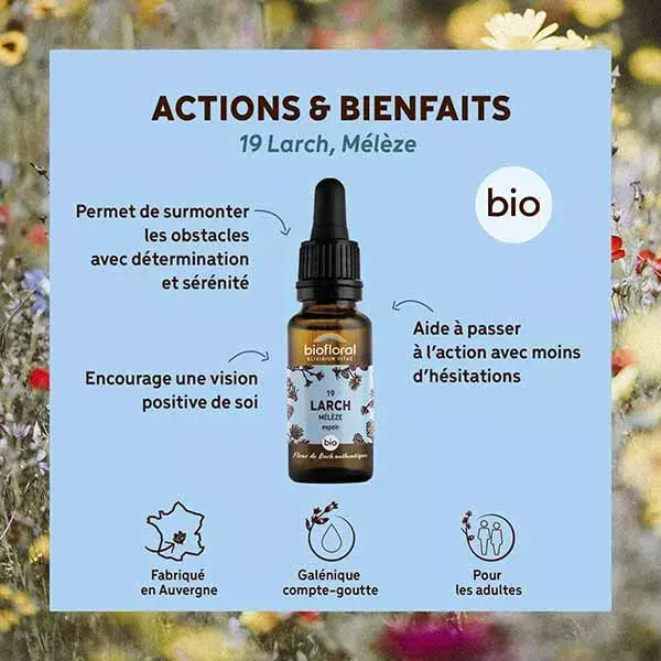 Óleo essencial Biofloral Bach Flower Remedy 19, Lariço (Meleze), orgânico, certificado pela Demeter, 20 ml