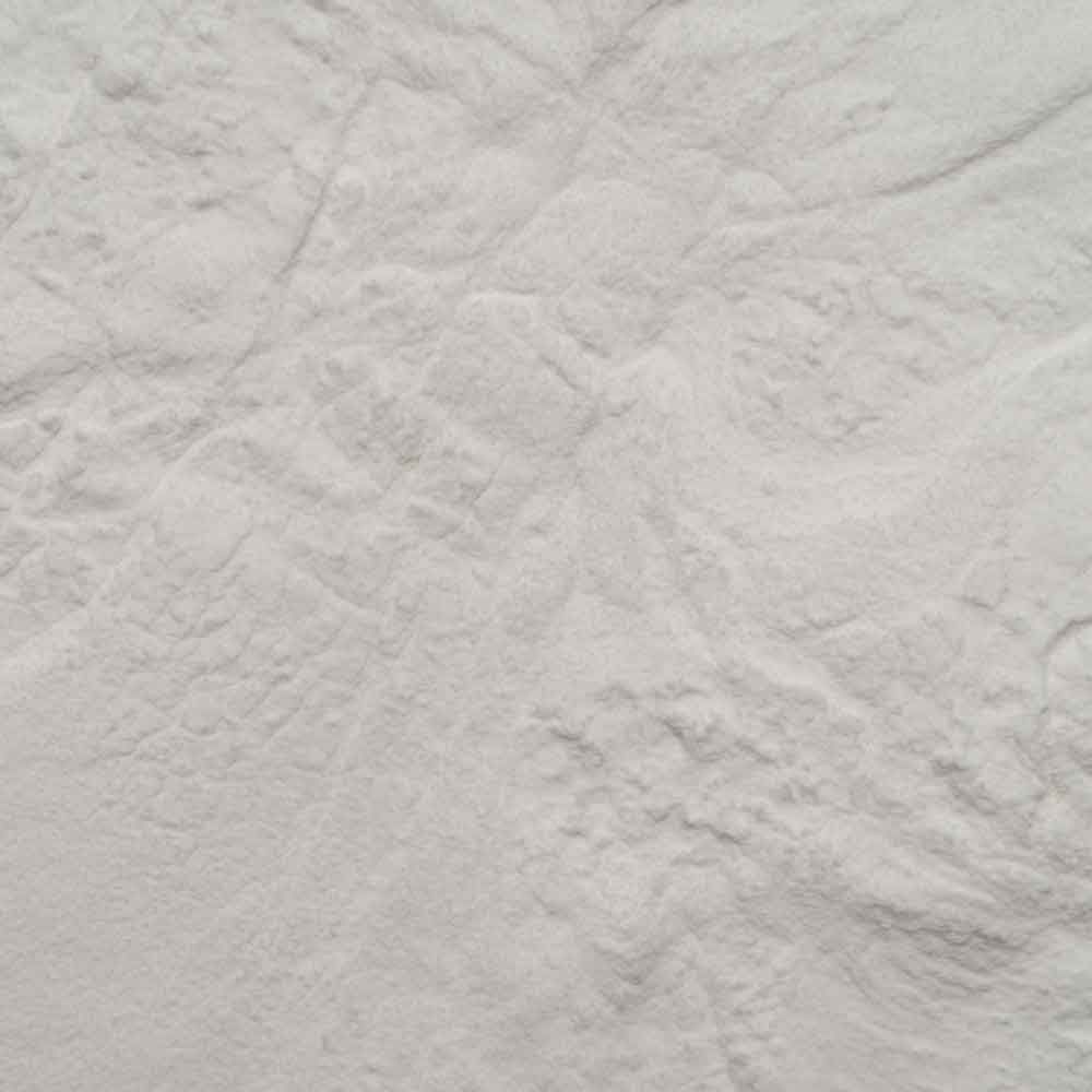 Biotiva Inulin Pulver Bio