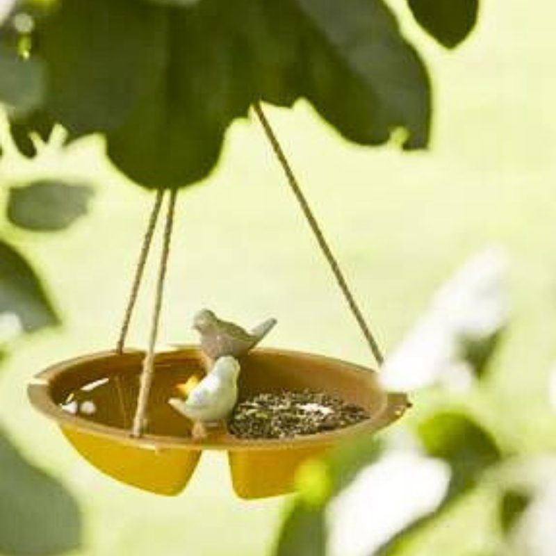Baignoire mangeoire bambou pour oiseaux