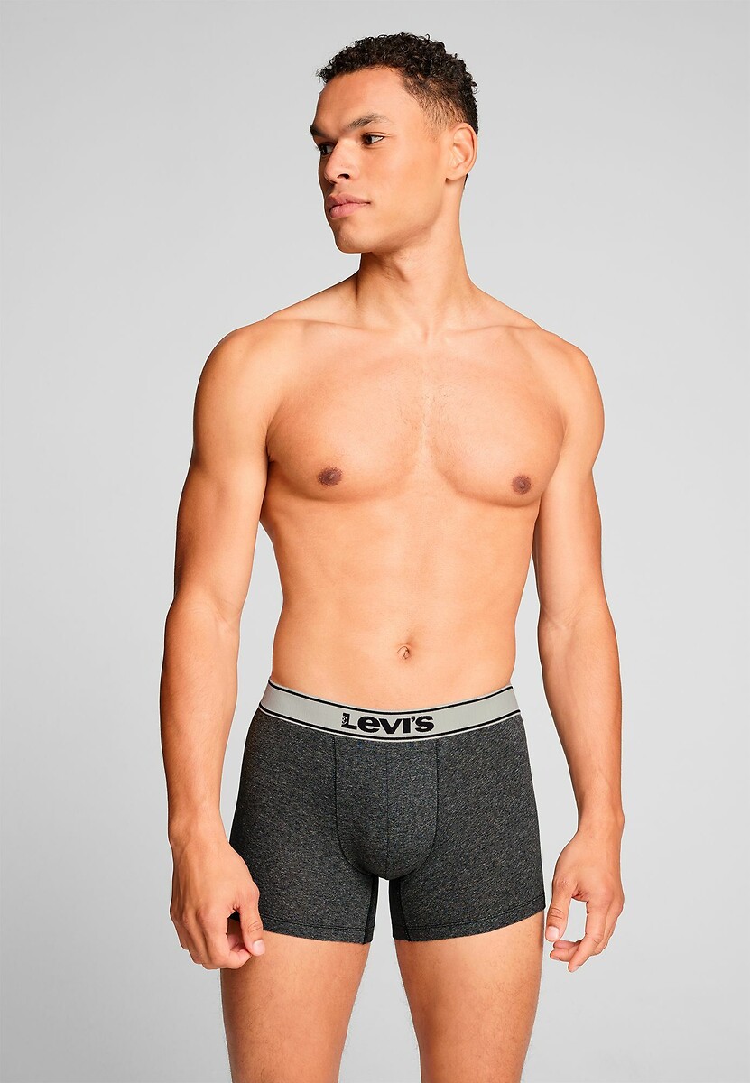 Conjunto de 2 cuecas boxer lisas da Levi's