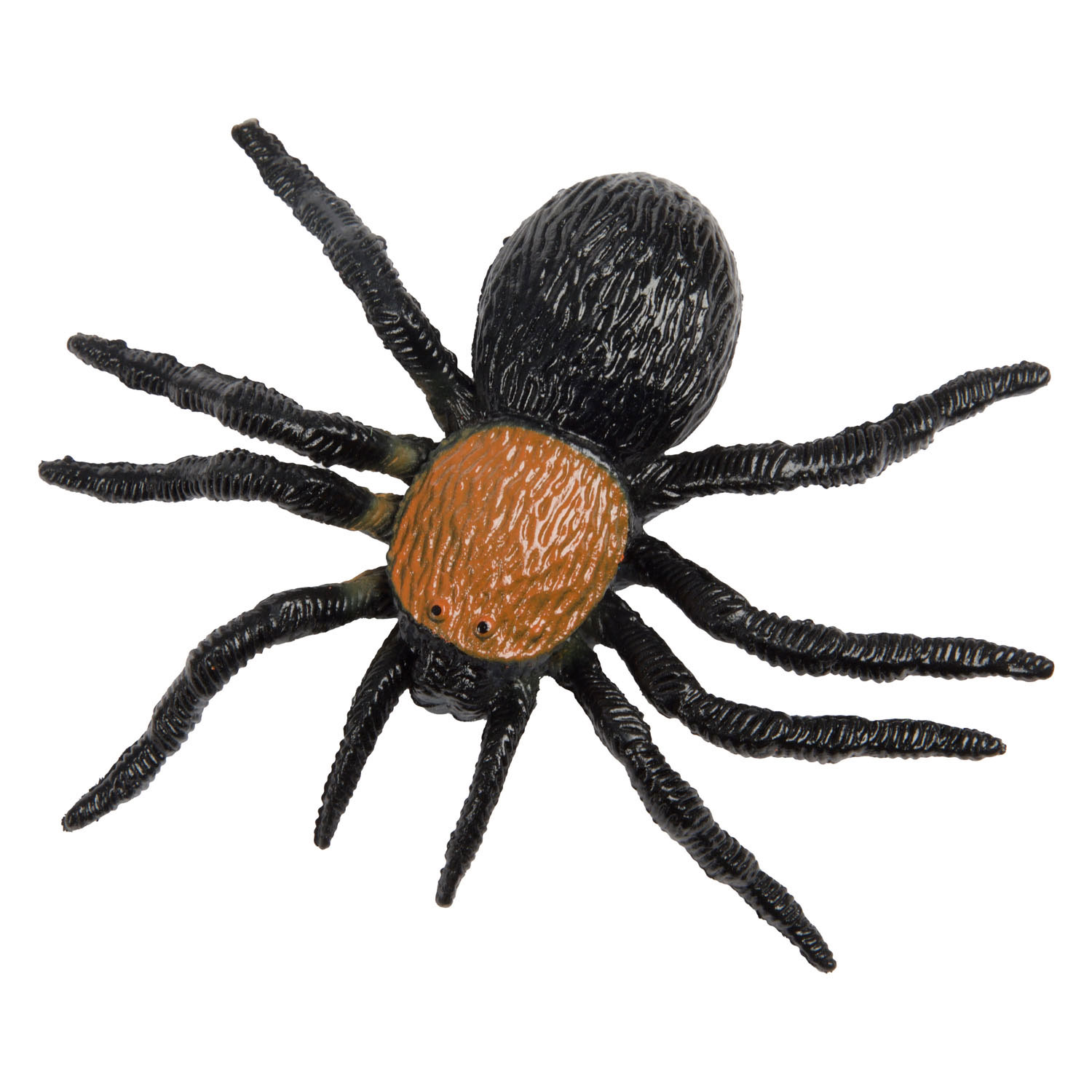Animal World Grote Griezel Insect