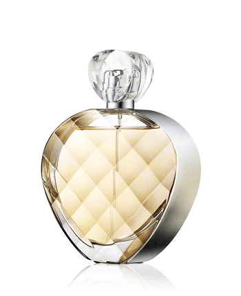 Elizabeth Arden Untold edp vapo 100ml