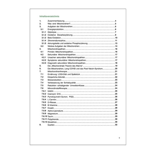 Sunday Natural Products  MitochondrientherapieDie Kraftwerke unserer Zelle aktiv unterstützen