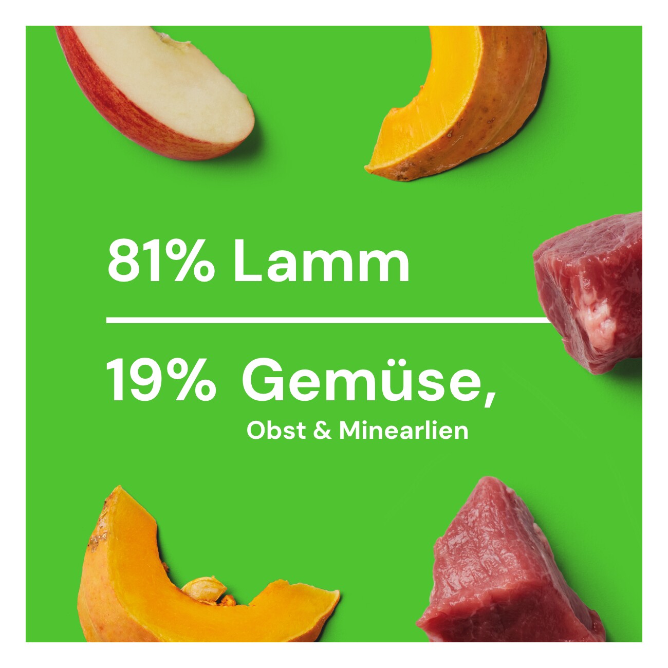 Nutriment Komfort-BARF Menü Lamm, Kürbis & Chicorée 6x1 kg