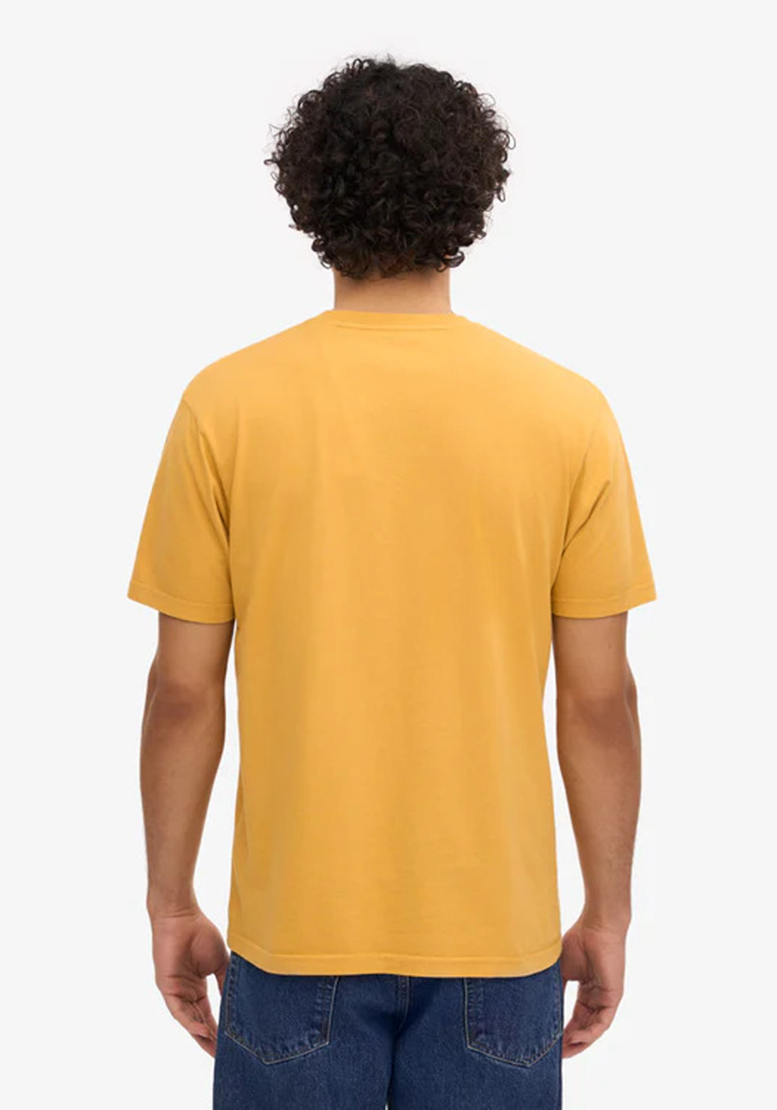 Colorful Standard Herren-T-Shirt Colorful Standard burned yellow