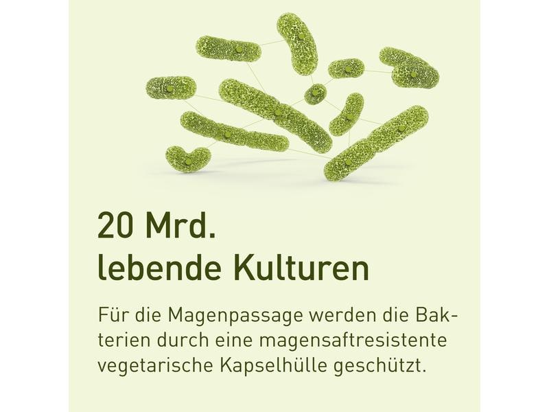 nupure probaflor 60 Kapseln Probiotika Kapseln zur Unterstützung der Verdauung