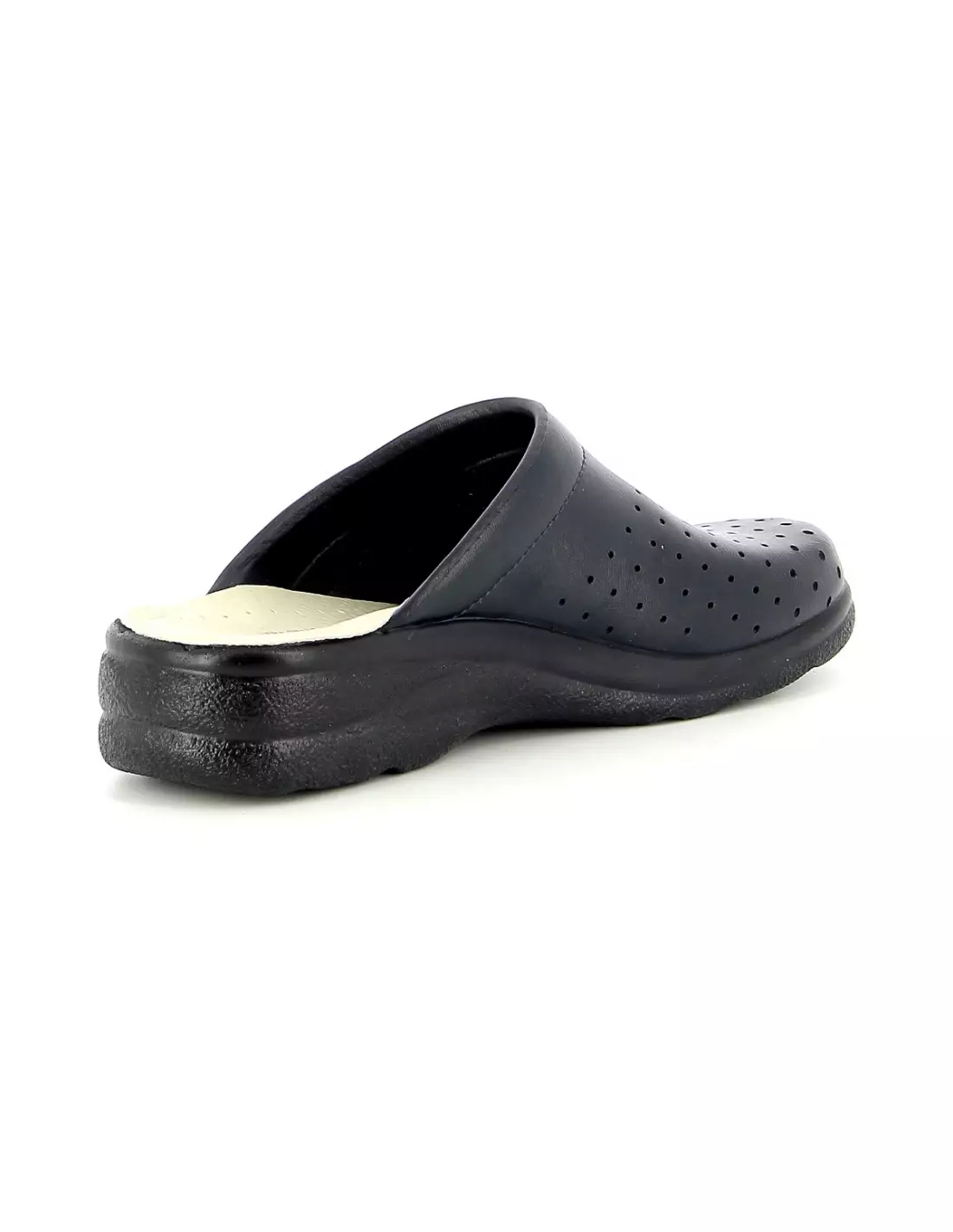 SANITAL LIGHT 1754 - Professionnels BluForato
