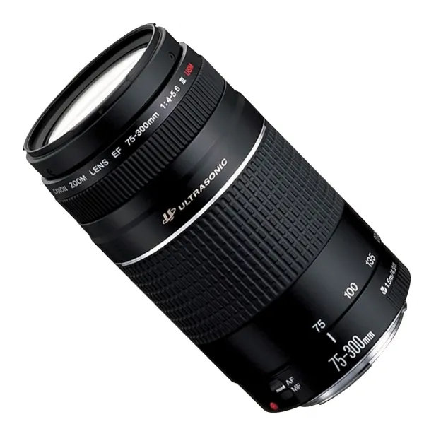 Canon EF - Telefoto zoom objektiv - 75 mm - 300 mm - f/4.0-5.6 III - Canon EF - for EOS 1000, 1D, 50, 500, 5D, 7D, Kiss F, Kiss X2, Kiss X3, Rebel T1i, Rebel XS, Rebel XSi